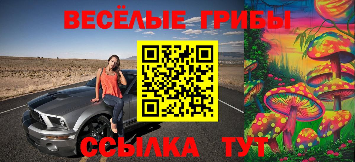 Галлюциногенные грибы GOLDEN TEACHER Избербаш