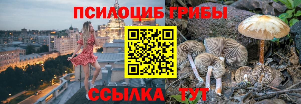 Псилоцибиновые грибы Cubensis  магазин    Избербаш  Вход с VPN  Галлюциногенные грибы MAGIC MUSHROOMS 